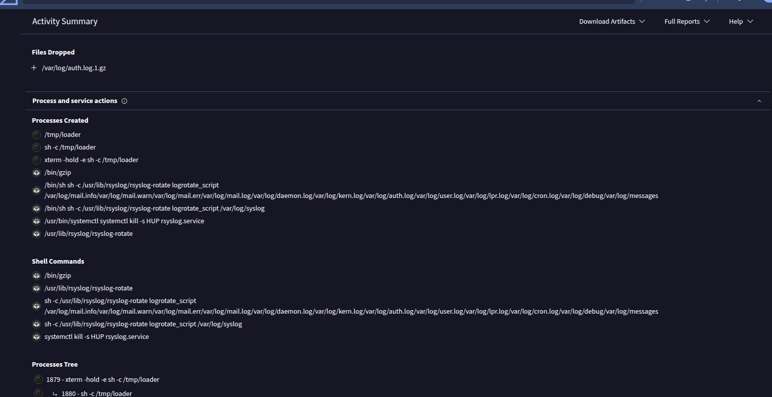 Process and service actions — the loader spawns via xterm → sh → /tmp/loader. The rsyslog rotation activity is sandbox infrastructure noise, not loader behavior.