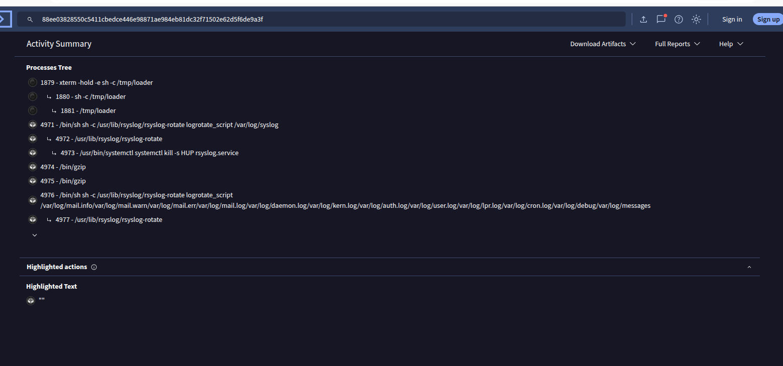 Process tree confirming the execution chain: PID 1879 (xterm) → 1880 (sh) → 1881 (/tmp/loader). The subsequent rsyslog PIDs are unrelated sandbox background tasks.